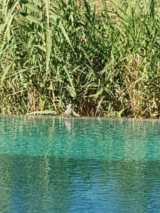 Le Figuier Du Lac Bin Elouidane 외부 사진